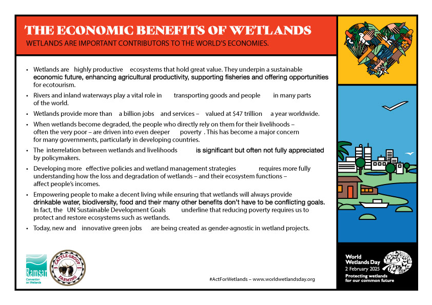 economic benefits of wetlands