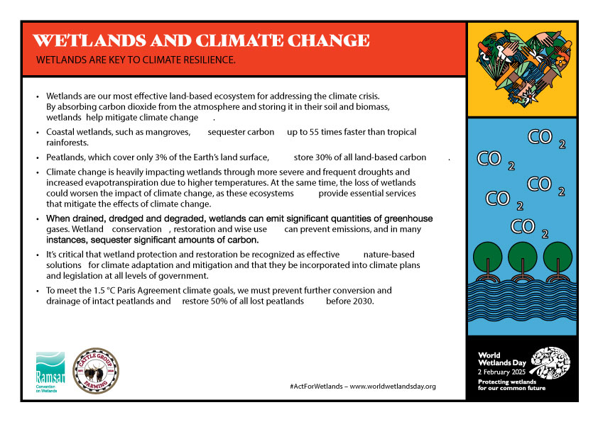 wetlands climate change