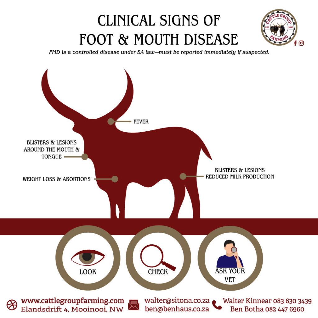 Unsderstanding Foot-and-Mouth Disease 16 fmd