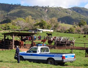 FarmSmart LivestockLegacy StockTheft PremiumCattle CattleGroupFarming AnkoleCattle FarmSecurity